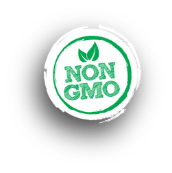 Icône  Sans OGM/GMO