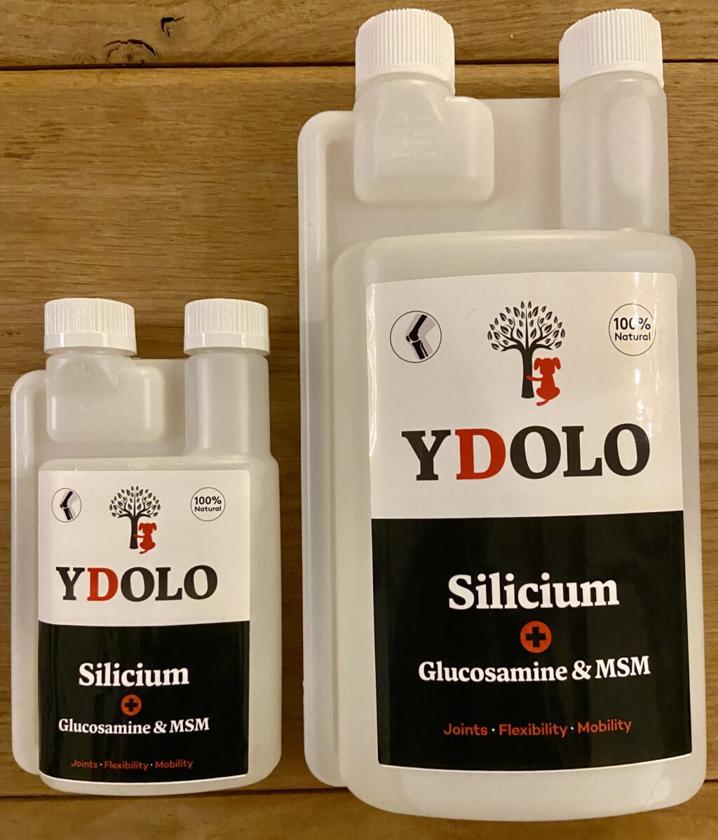 YDOLO – Articulations Souples (SILICIUM + Glucosamine & MSM)
